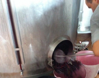 Proceso de elaboracion del vino